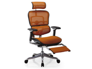 Mesh Executive Chair